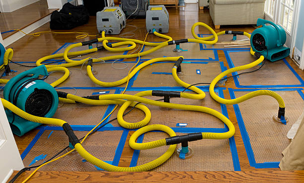 Professional Basement Flood Cleanup technician working in Fogelsville, PA